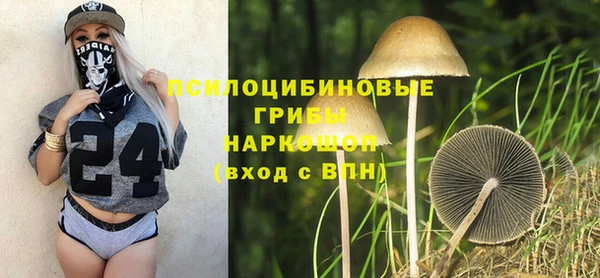 марки lsd Инта