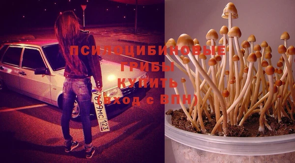 ешки Иннополис