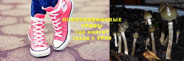 ешки Иннополис