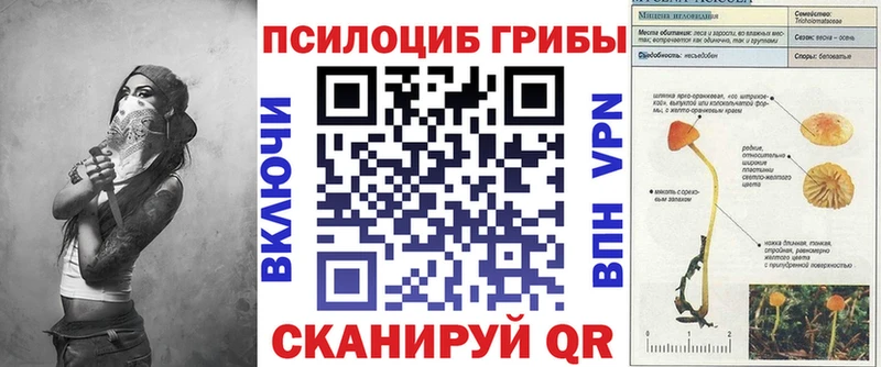 Псилоцибиновые грибы Magic Shrooms  Купить где  Чистополь 